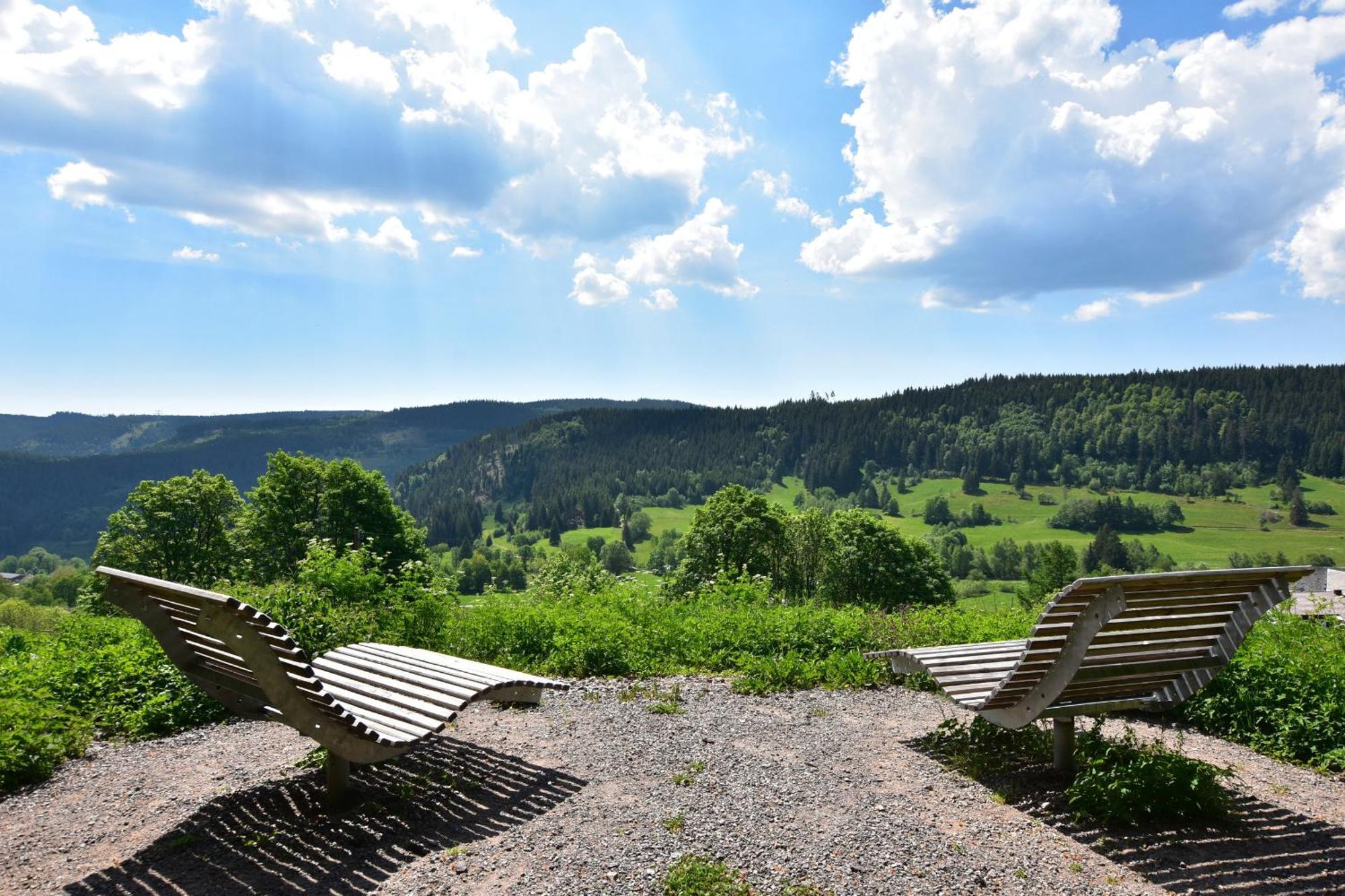 Schwarzwaldhaus Krebs - Villa Kunterbunt, Lenzkirch, Feldberg Экстерьер фото